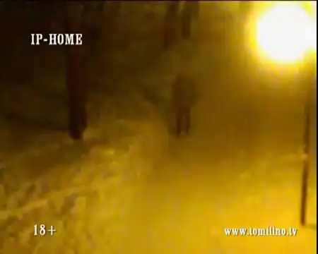 Беспощадное избиение прохожего в парке Лапса в подмосковном Томлино