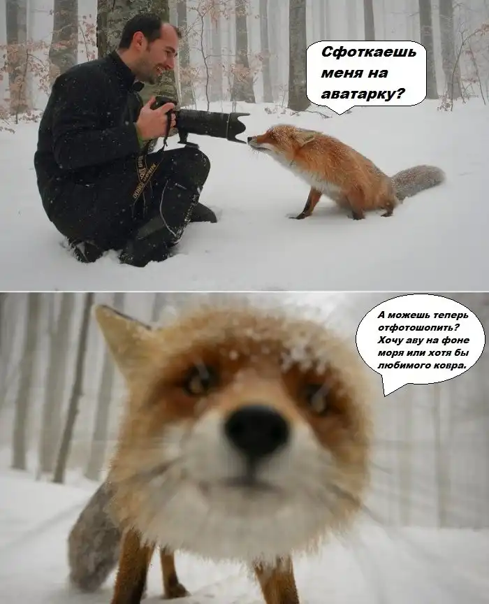 Прикольные картинки абавсём (24.01.13)