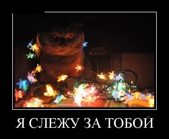 Картинки в черной рамке