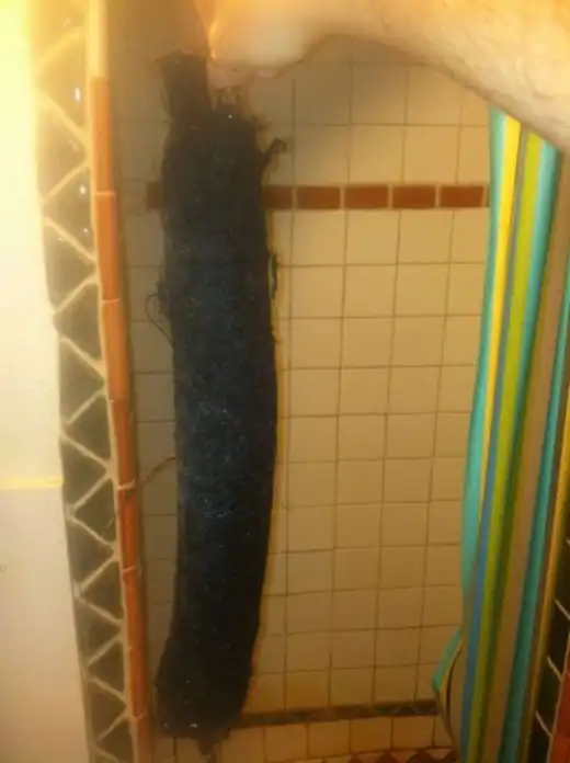 Неизвестная живность из сливного отверстия душевой