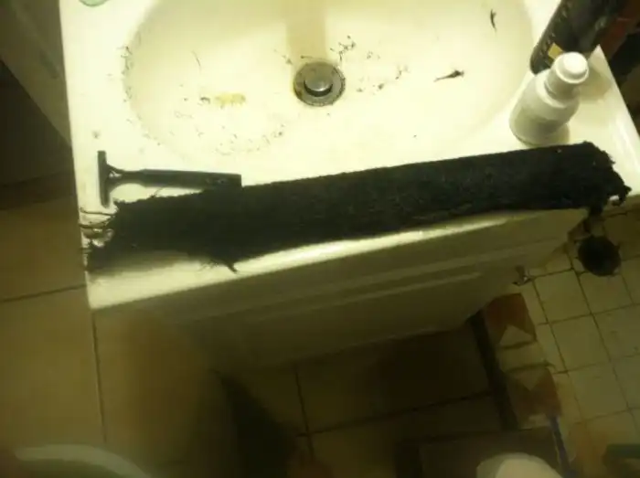 Неизвестная живность из сливного отверстия душевой