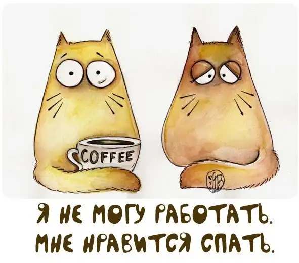 Милые картинки с котами.