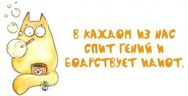 Милые картинки с котами.