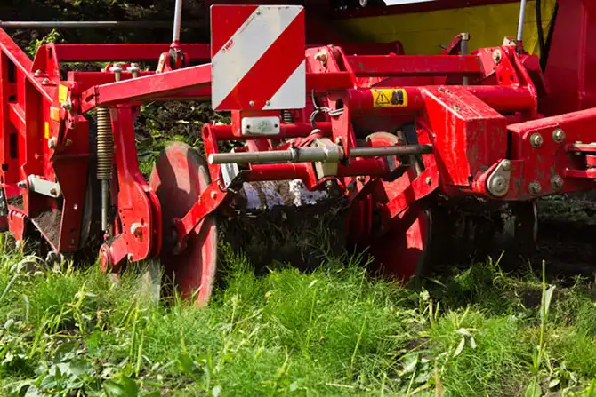 Как выращивают картофель