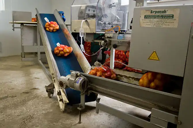 Как выращивают картофель