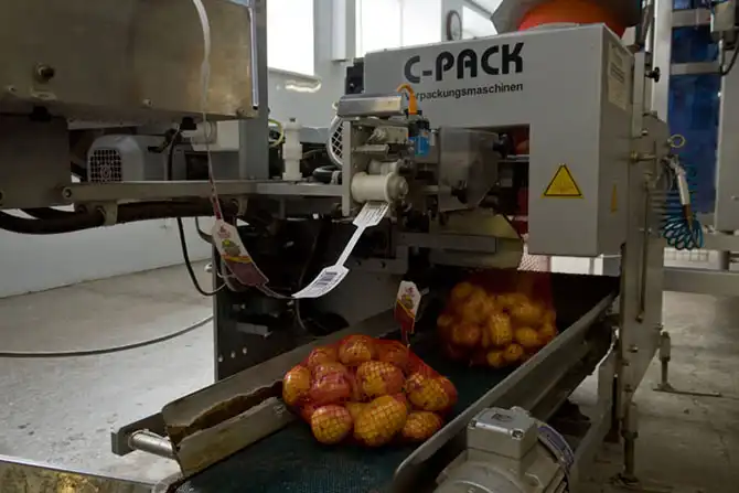 Как выращивают картофель