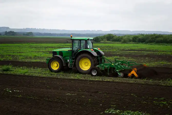 Как выращивают картофель