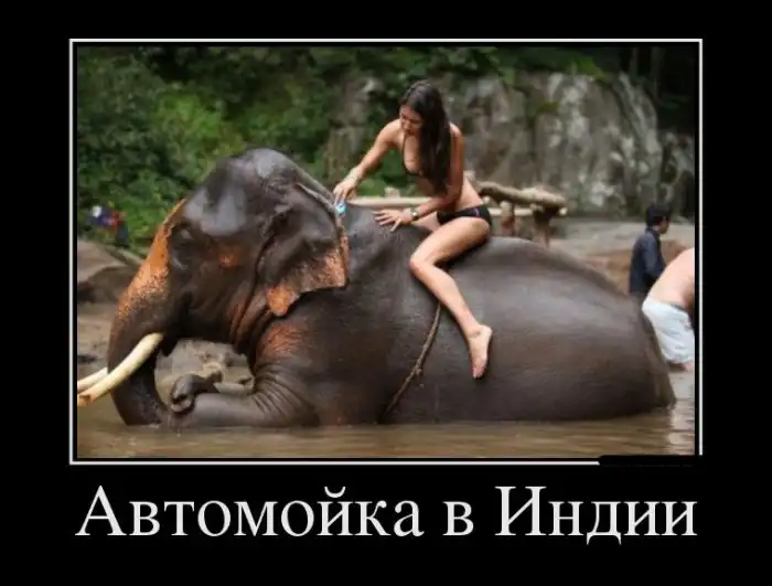 Картинки в черной рамке