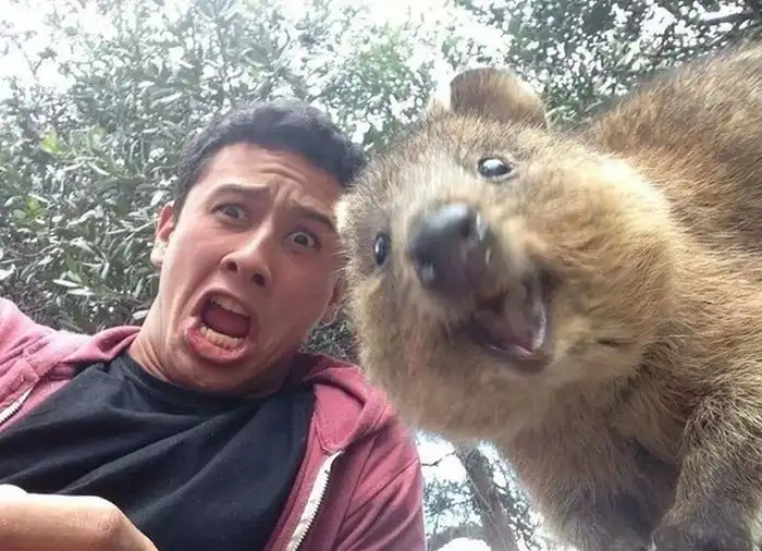 Прикольные картинки абавсём:D (14.10.13)