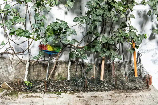 Прогулка по одесским дворикам (часть 2)