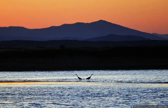Путешествие в Дальневосточный морской биосферный заповедник
