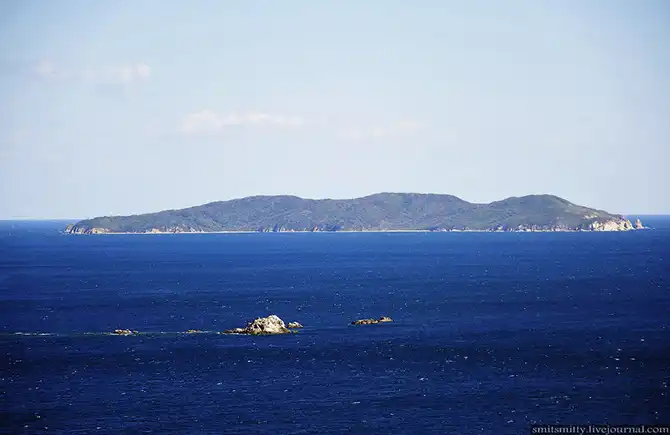 Путешествие в Дальневосточный морской биосферный заповедник