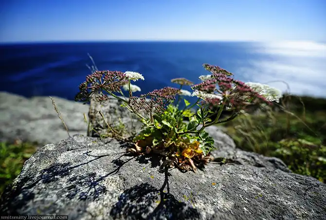 Путешествие в Дальневосточный морской биосферный заповедник