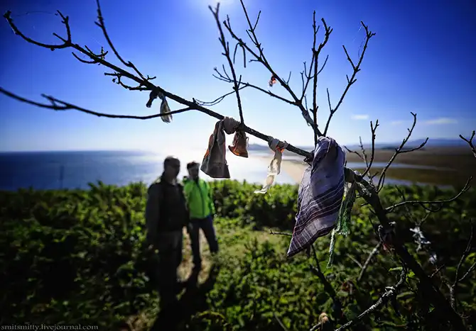 Путешествие в Дальневосточный морской биосферный заповедник