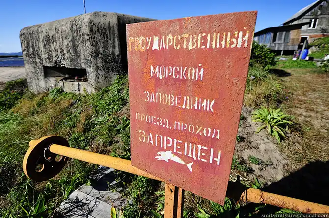 Путешествие в Дальневосточный морской биосферный заповедник