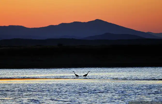 Путешествие в Дальневосточный морской биосферный заповедник