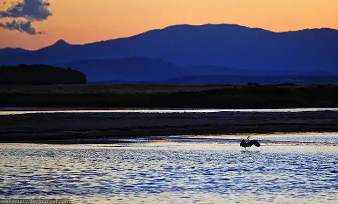 Путешествие в Дальневосточный морской биосферный заповедник