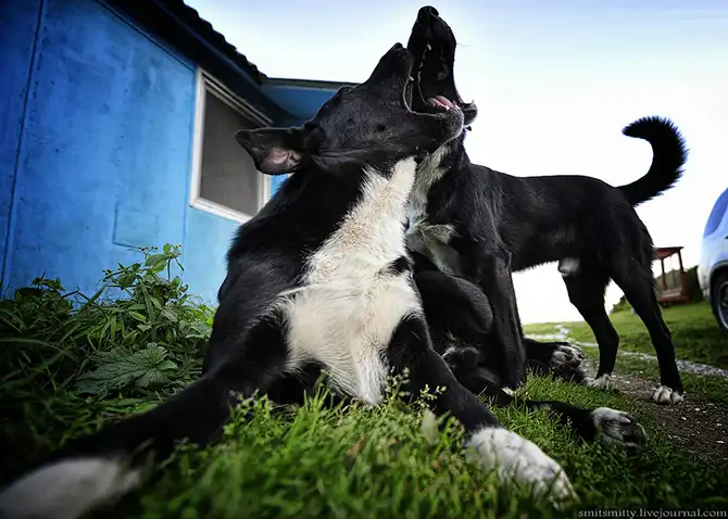 Путешествие в Дальневосточный морской биосферный заповедник