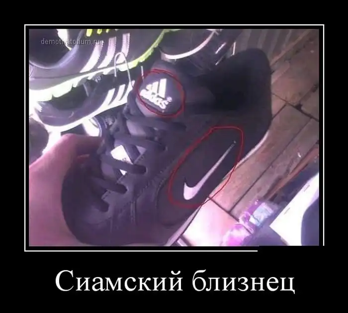 Картинки в черной рамке