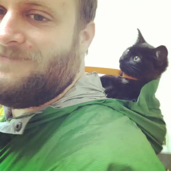 Мохнатые любимцы