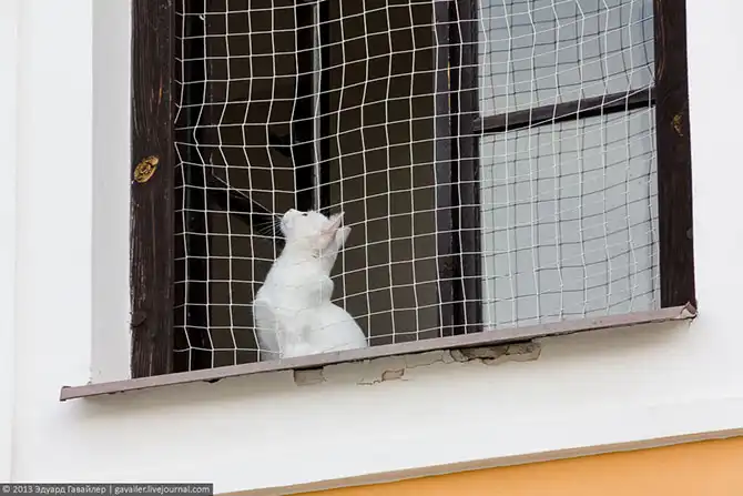 Три разноликих чешских городка