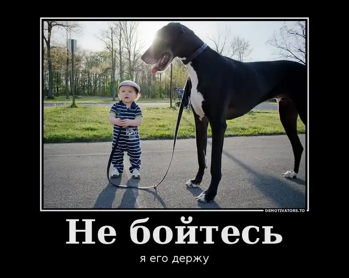 Картинки в черной рамке