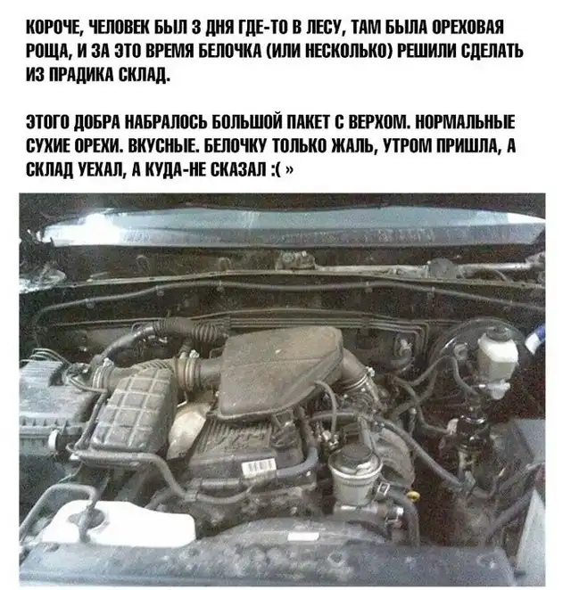 Однажды на СТО