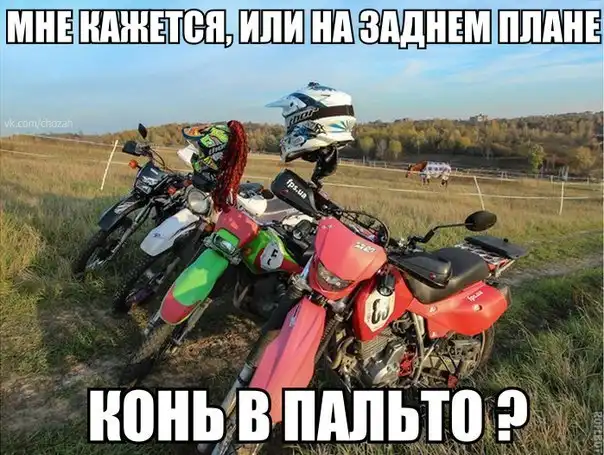 Прикольные картинки абавсём:D (22.10.13)