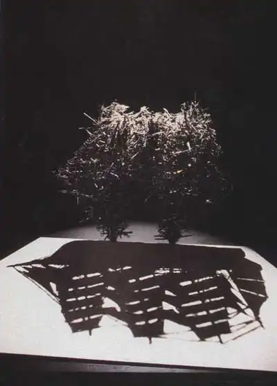 Художники, рисующие тенью