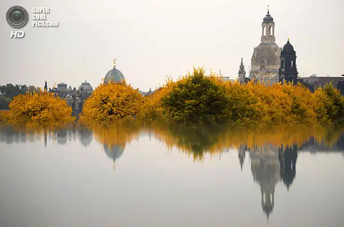 Волшебство осенней палитры