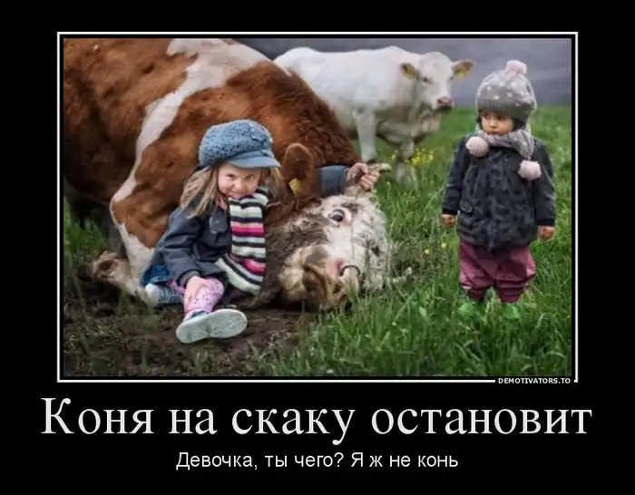 Картинки в черной рамке