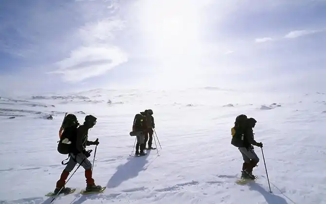 20 мест, где встречаются редкие животные