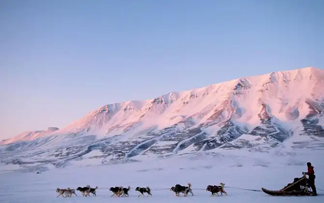 20 мест, где встречаются редкие животные