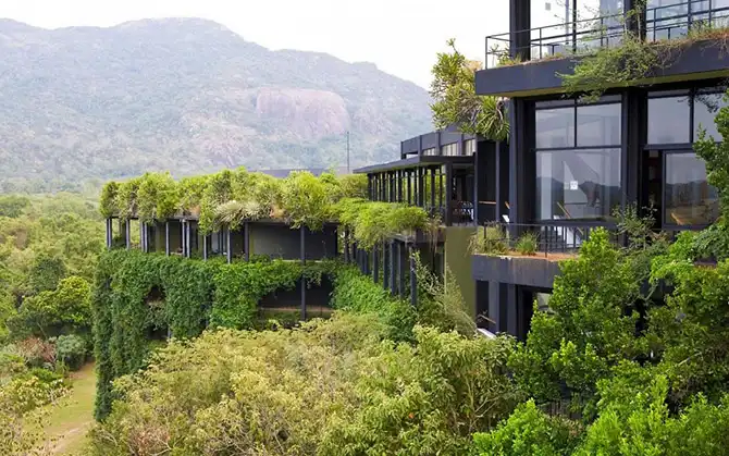 20 мест, где встречаются редкие животные