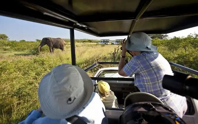 20 мест, где встречаются редкие животные