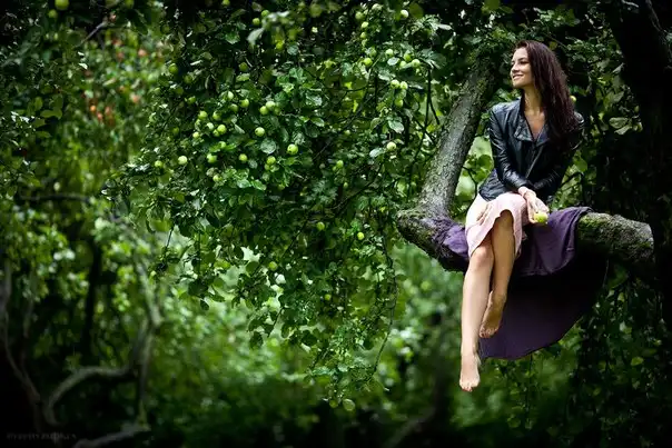 Советы по фотосъемке для новичков