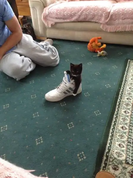 Разнообразная подборка =)  Хорошего настроения!