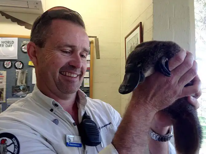 Фотографии животных за неделю