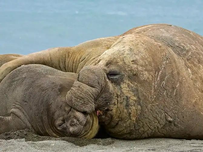 Лучшие фотографии октября 2013 от National Geographic