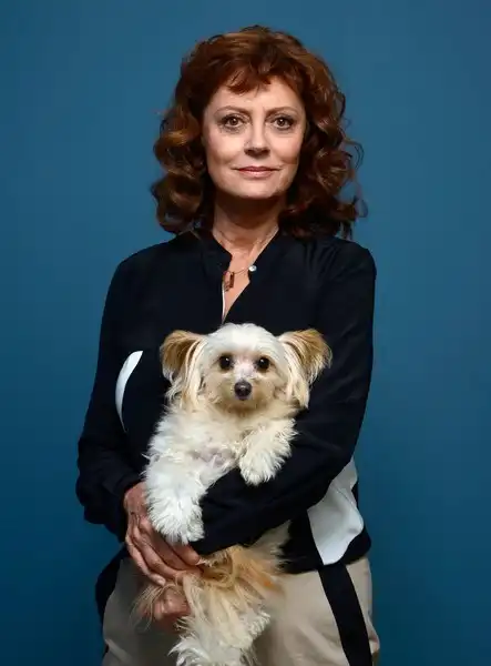 Правила жизни Cьюзан Cарандон