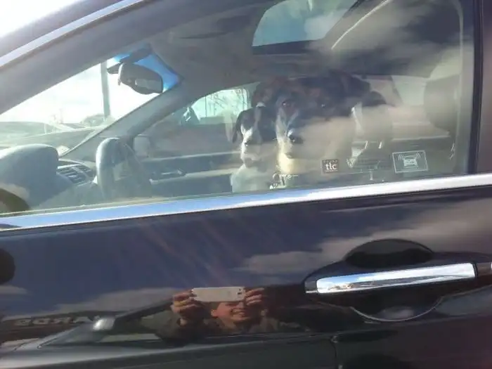 Прикольные картинки абавсём:D (31.10.13)