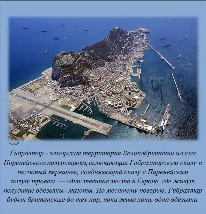 Интересные факты обо всем на свете