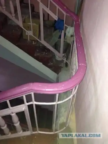 немного фотоприколов