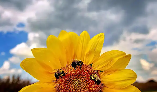 Сцены из жизни в сентябре 2013