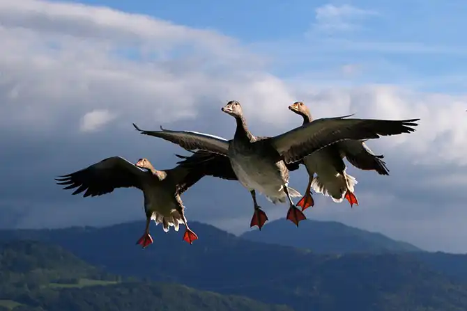 Сцены из жизни в сентябре 2013