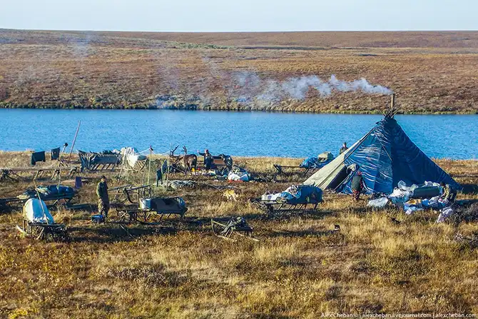 Как дети из Тундры в школу на вертолете летают...