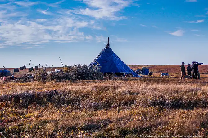 Как дети из Тундры в школу на вертолете летают...