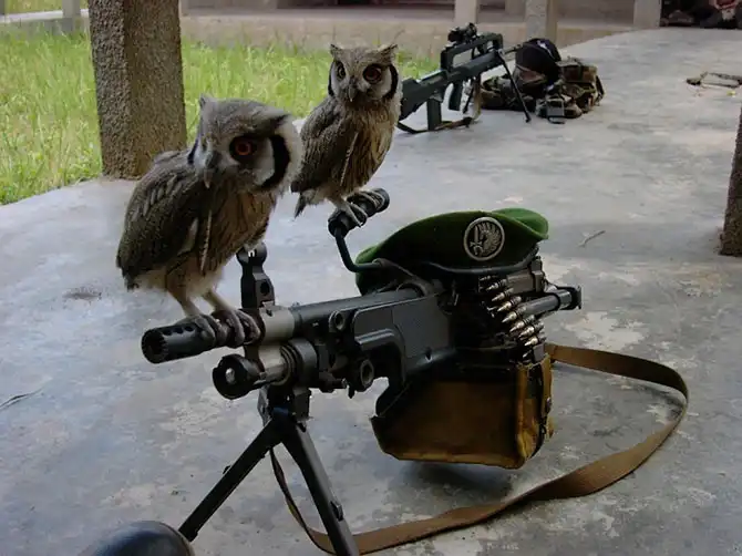 Как живет во Франции белорус - патриот