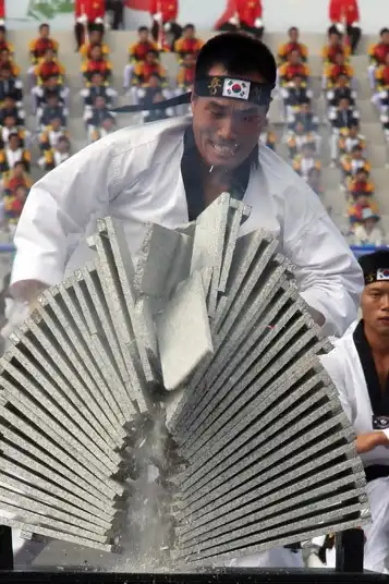 Самый большой южнокорейский парад за последние 10 лет