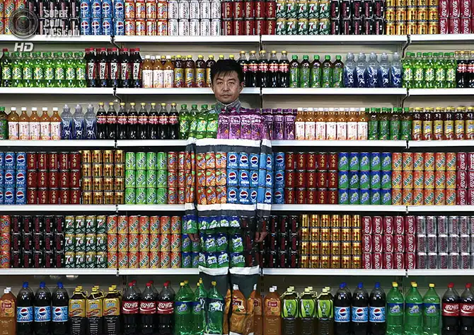 Искусство хамелеона - Лю Болиня